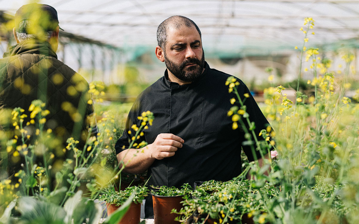 Tarragon_Marvin-Gauci_St-Pauls-Bay-(146)